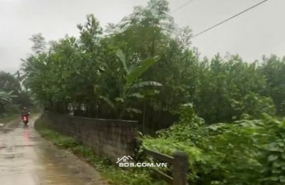 Bán 450m2 Đất Chính Chủ Tại Thôn Rộc Trụ I, Xã Khoan Dụ, Huyện Lạc Thủy, Hòa Bình